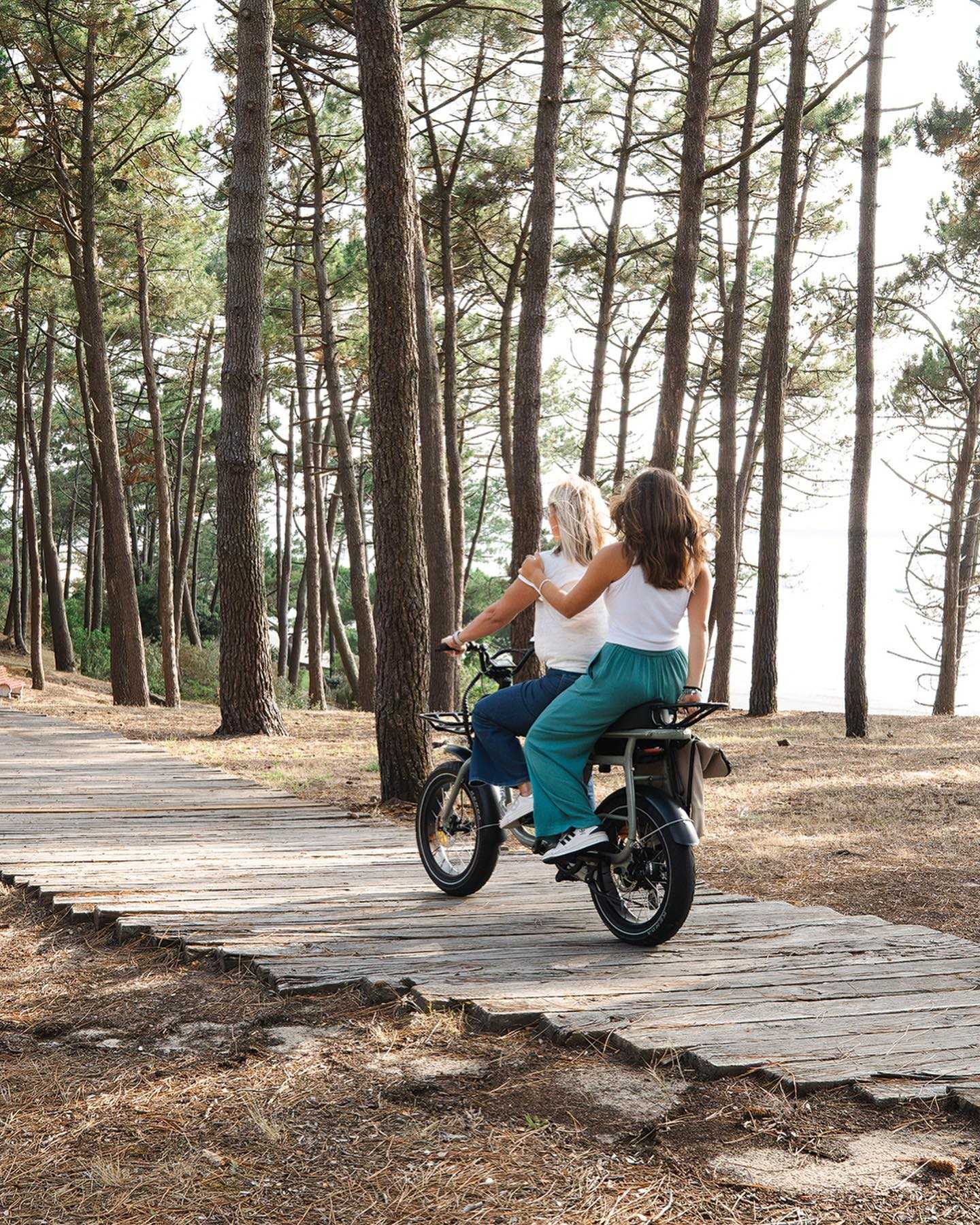 Vélo électrique biplace Elwing