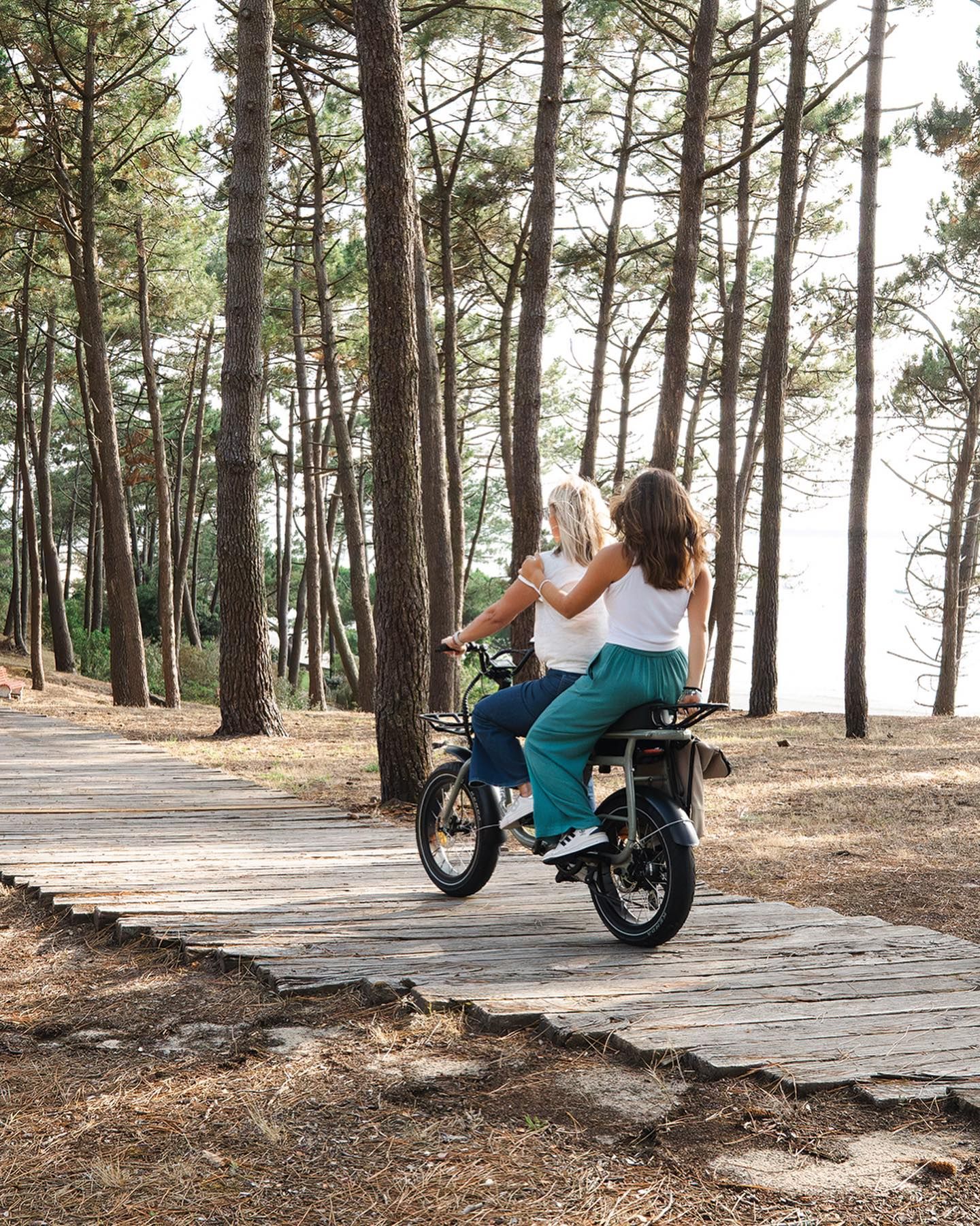 Vélo électrique biplace Elwing